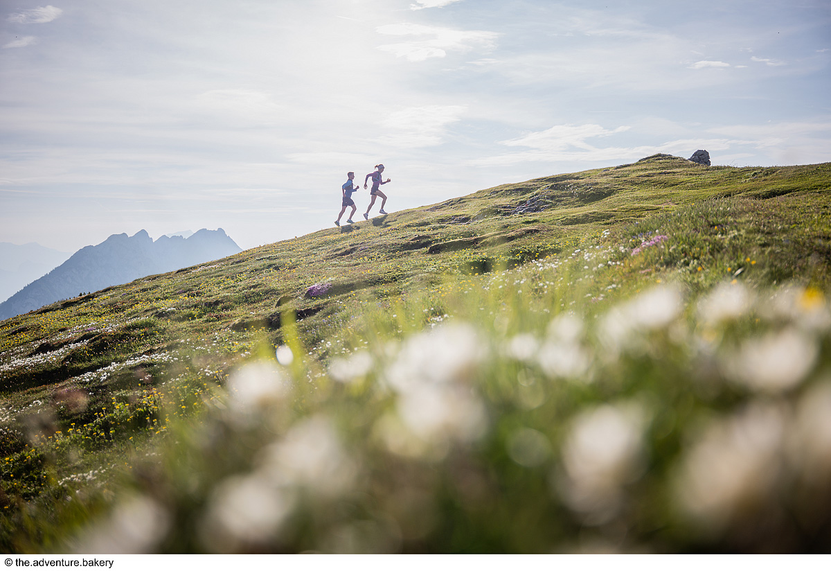 Trek Safari - King Dachstein Trail pro běžce 19